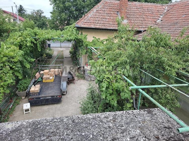 Casă cu Teren 1464 Mp în Buziașului