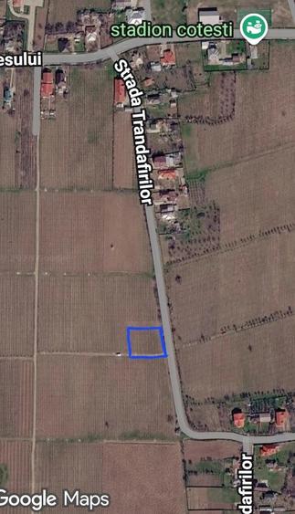 Teren de 1500 mp, în Cotești