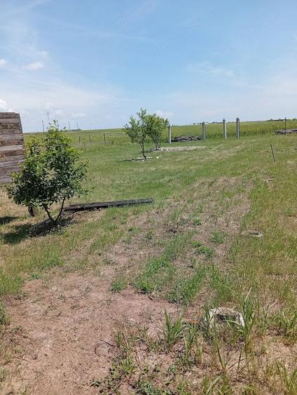 Teren de 500 mp, în Pielești