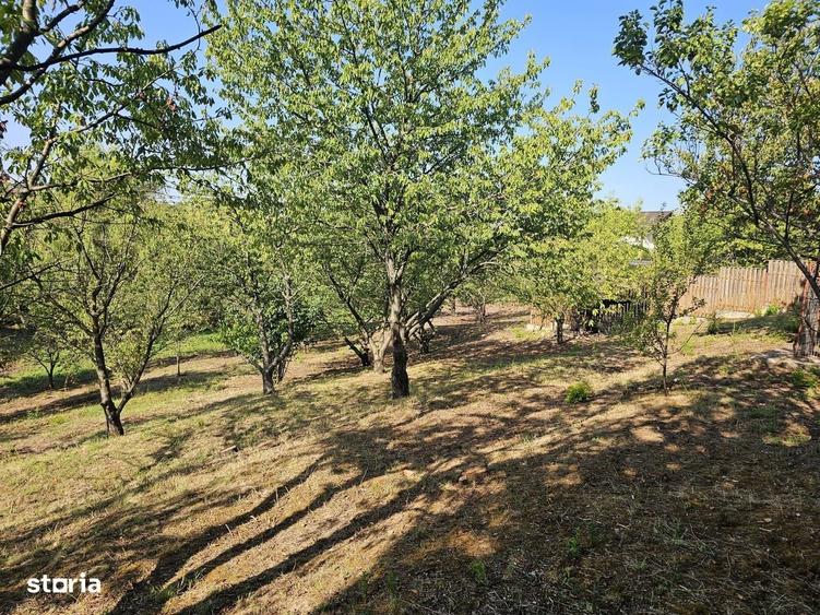 Casă cu 4 camere cu Teren 3000 Mp în Nicolina