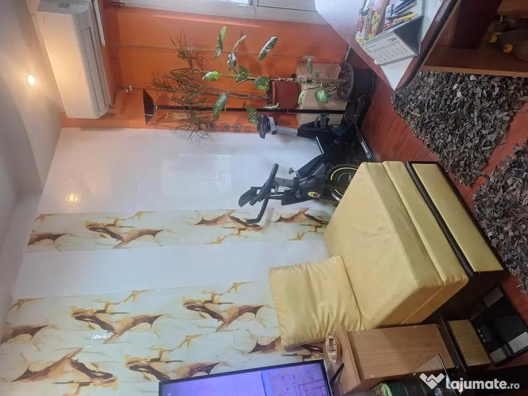 Apartament cu 2 camere decomandat în Turnișor