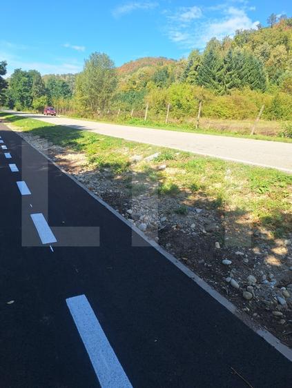 Teren Construcții extravilan de 4847 mp, în Nădrag