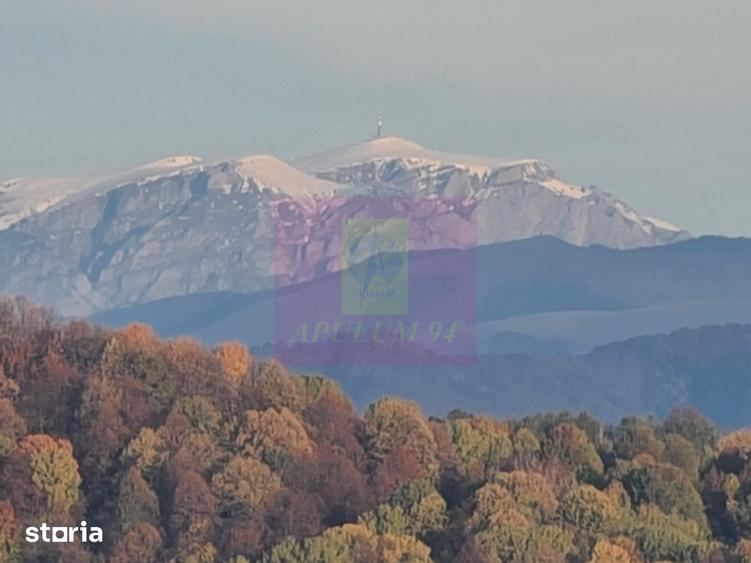 Teren de 3092 mp, în Scorțeni