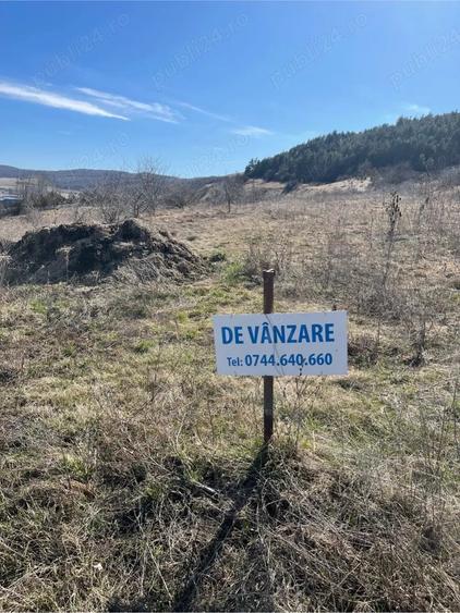 Teren de 2900 mp, în Baciu