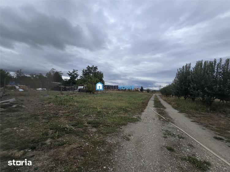 Casă cu 8 camere cu Teren 3000 Mp în Beclean