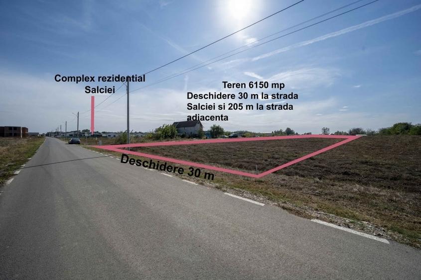 Teren în Domnești