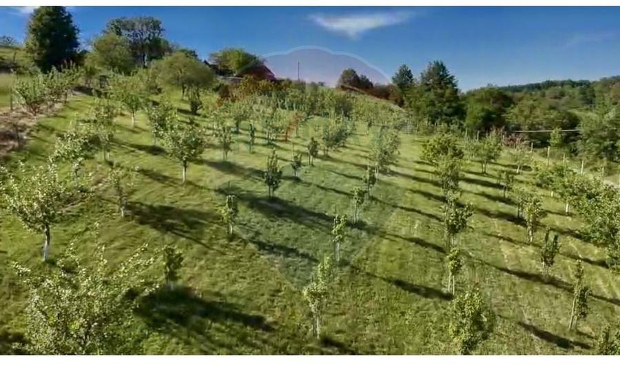 Teren agricol intravilan de 20170 mp, în Șuncuiuș