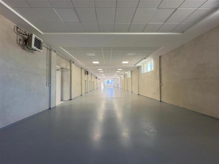 Spațiu industrial, de 334 mp, în Exterior Vest