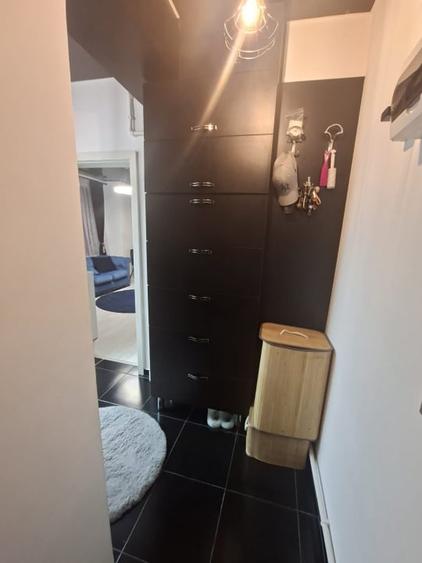 Apartament cu 2 camere decomandat, mobilat în Brazda lui Novac