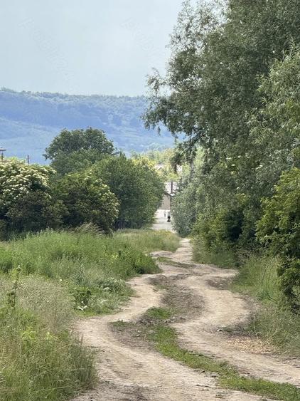 Teren de 8127 mp, în Nima