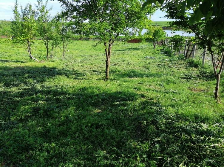 Casă cu 4 camere cu Teren 2300 Mp în Sud