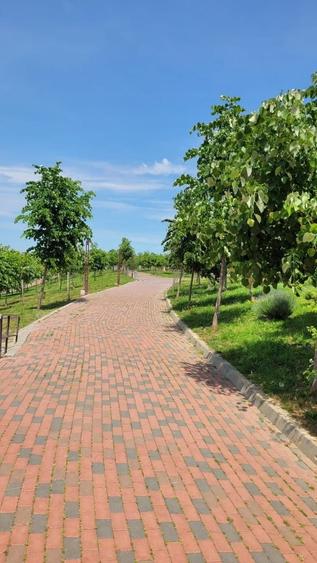 Garsonieră decomandată în 1 Decembrie 1918
