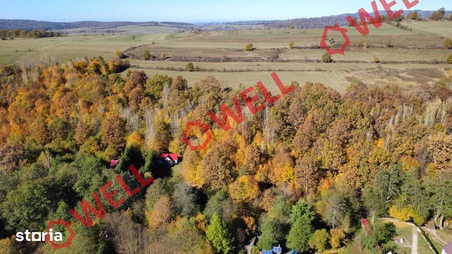 Teren de 3500 mp, în Bățani
