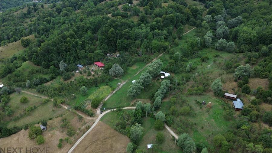 Casă cu 3 camere cu Teren 5913 Mp în Paltin