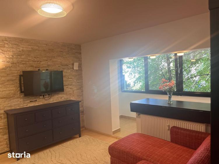 Apartament 2 camere, zona Piata Victoriei, mobilat - 8
