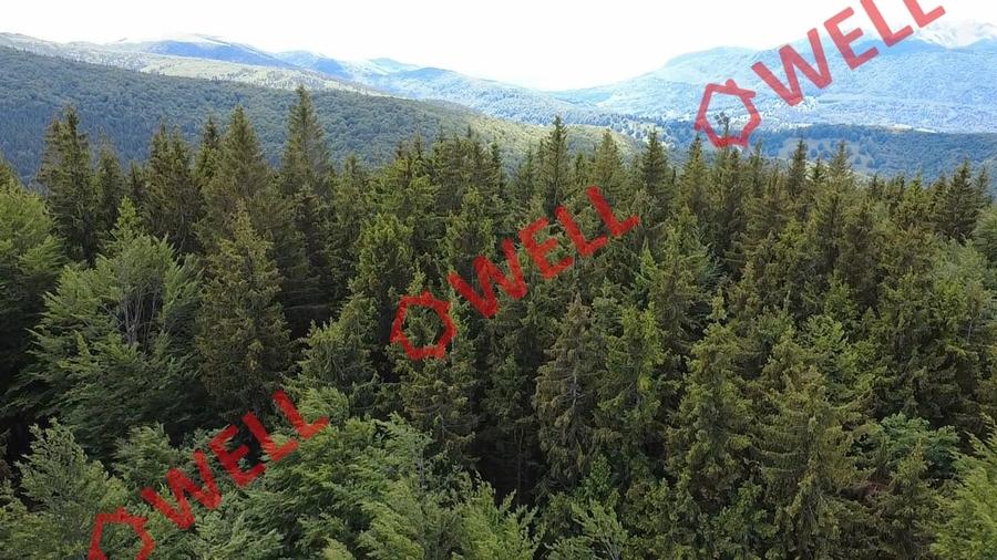Teren agricol extravilan de 23000 mp, în Vama Buzăului