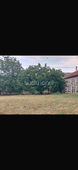 Teren Minis de vanzare