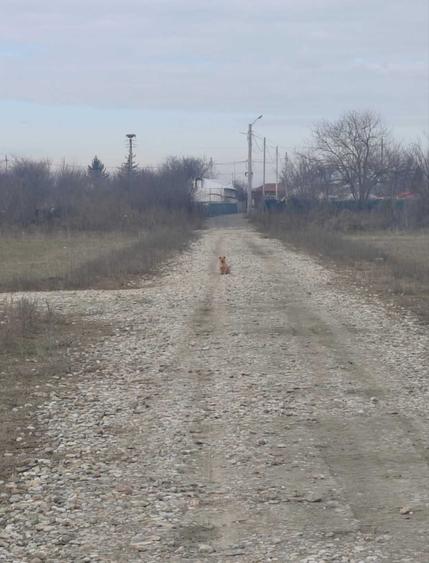 Spațiu comercial, în Vidra