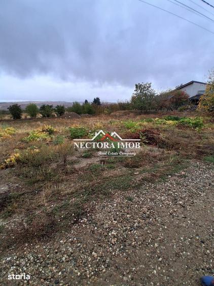 Teren de 676 mp, în Paleu