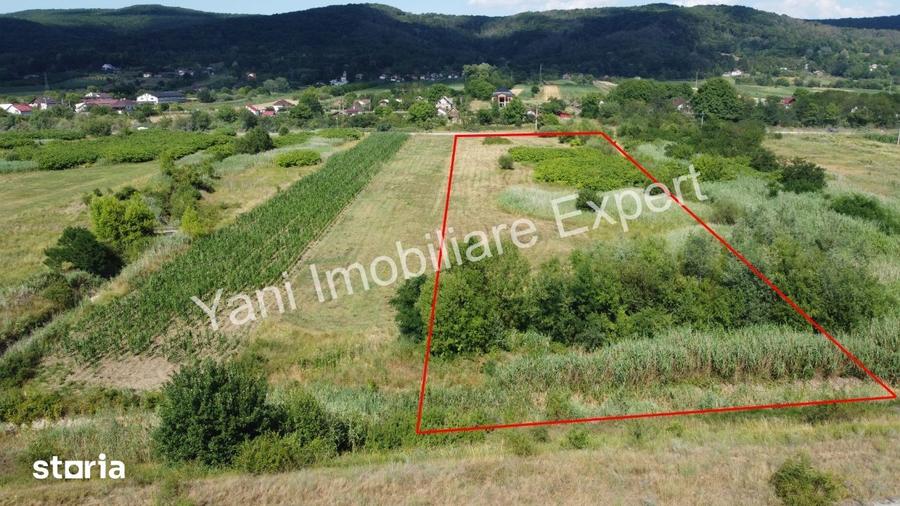Teren de 8229 mp, în Băiculești