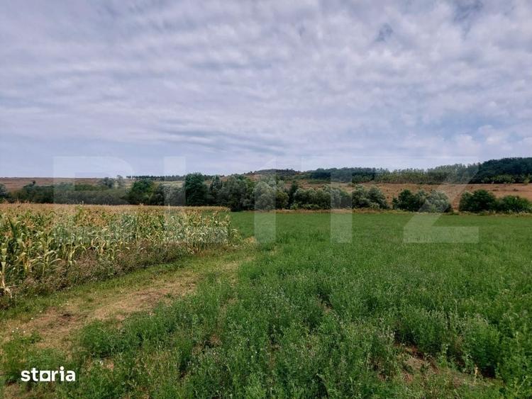 Teren de 27500 mp, în Iclod