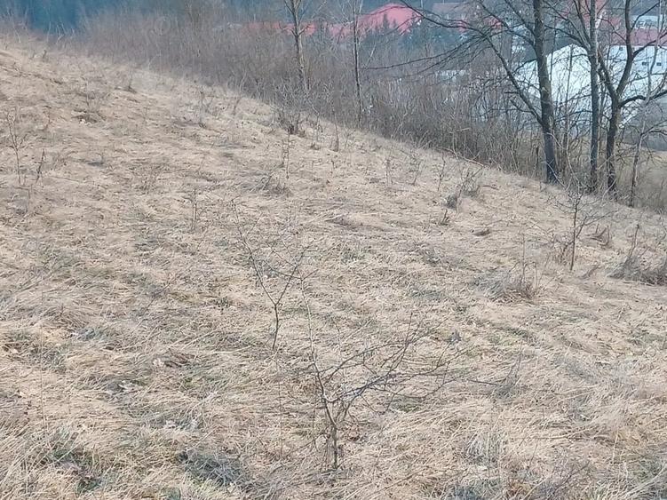 Teren de 2030 mp, în Central