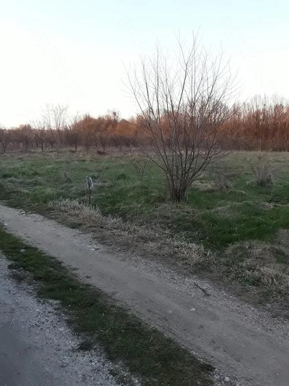 Teren de 3200 mp, în Cocu