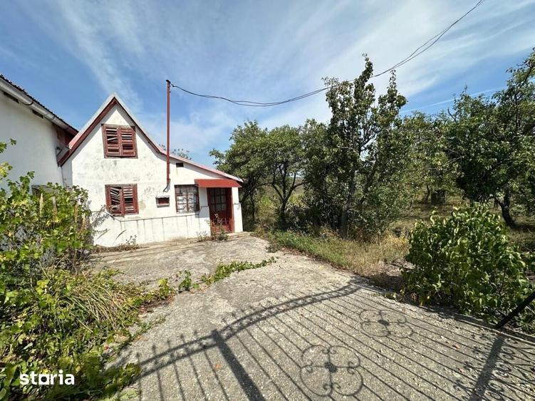 Teren de 1665 mp, în Podgoria