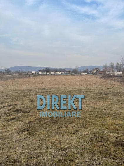 Teren de vanzare, localitatea Sirioara - 1