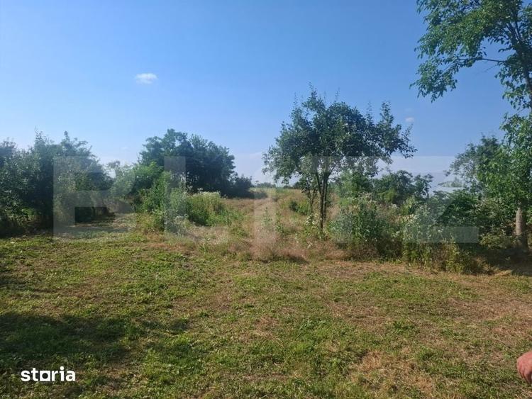 Casă cu 2 camere cu Teren 5000 Mp în Dragomirești