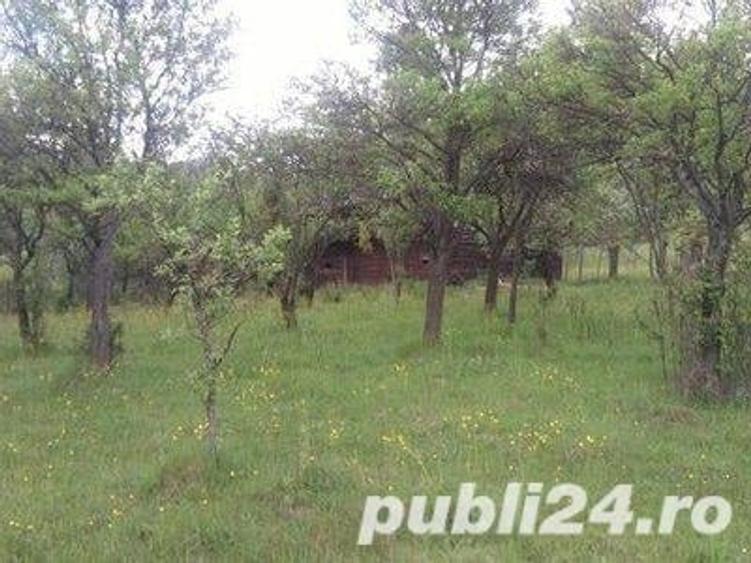 Teren de 5062 mp, în Voineasa