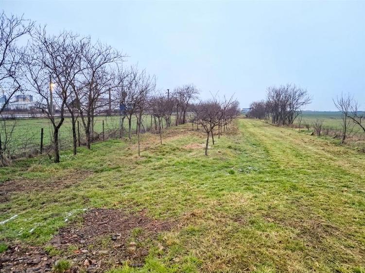 Casă cu 3 camere cu Teren 750 Mp în Bicaci