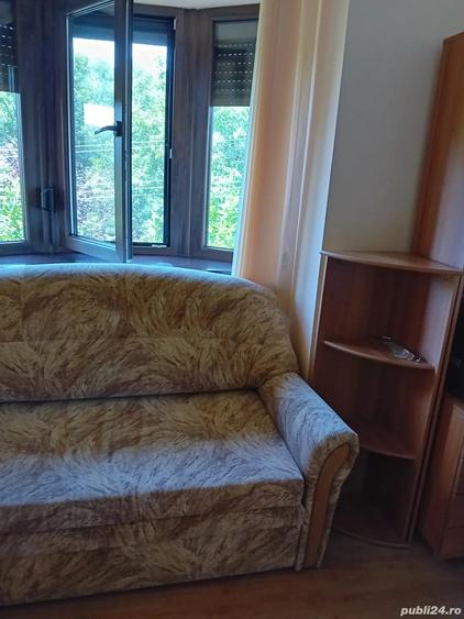 Ap cu 2 camere de inchiriat la vila,in Crisan - 10