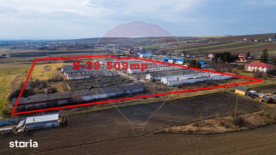Teren de 39600 mp, în Traian