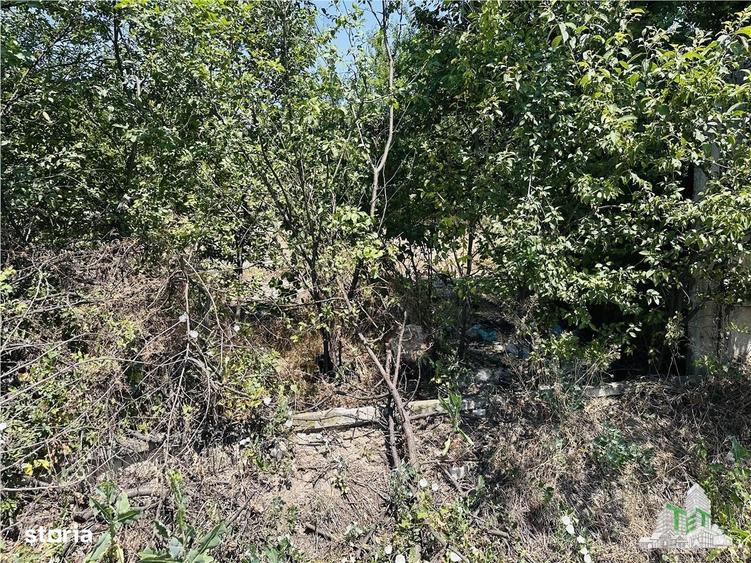 TEREN STRADAL GIULESTI, 50000 mp, la asfalt, intravilan, toate utilita - 4