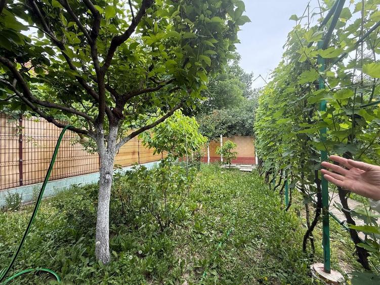 Casă individuală cu 4 camere cu Canalizare în Plopi