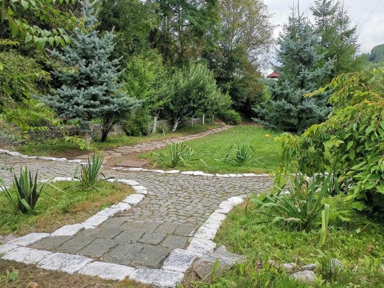 Casă cu 3 camere cu Teren 1493 Mp în Orăști