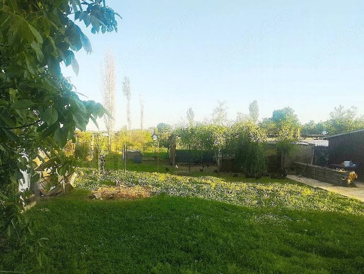 Teren de 2000 mp, în Curtișoara