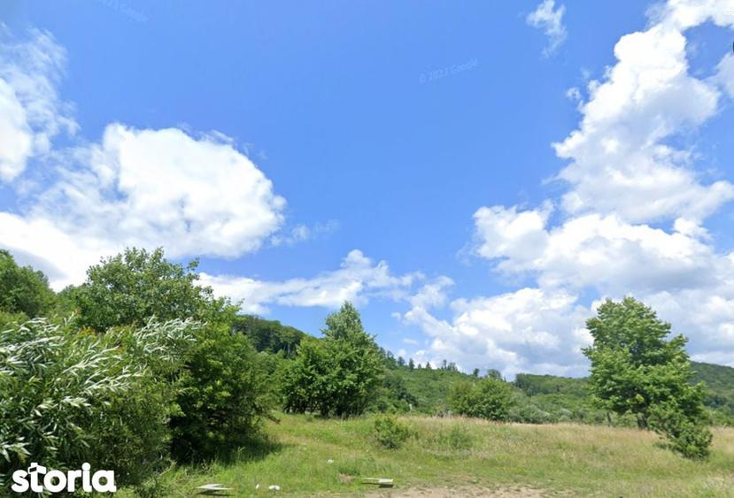 Teren de 5400 mp, în Oituz