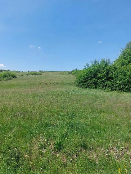 Teren de 8000 mp, în Felcheriu