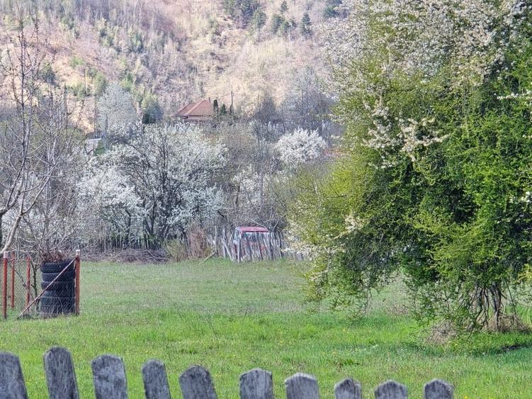Teren Construcții intravilan de 3519 mp, în Baia de Fier