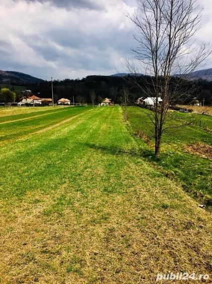 Teren de 5000 mp, în Central