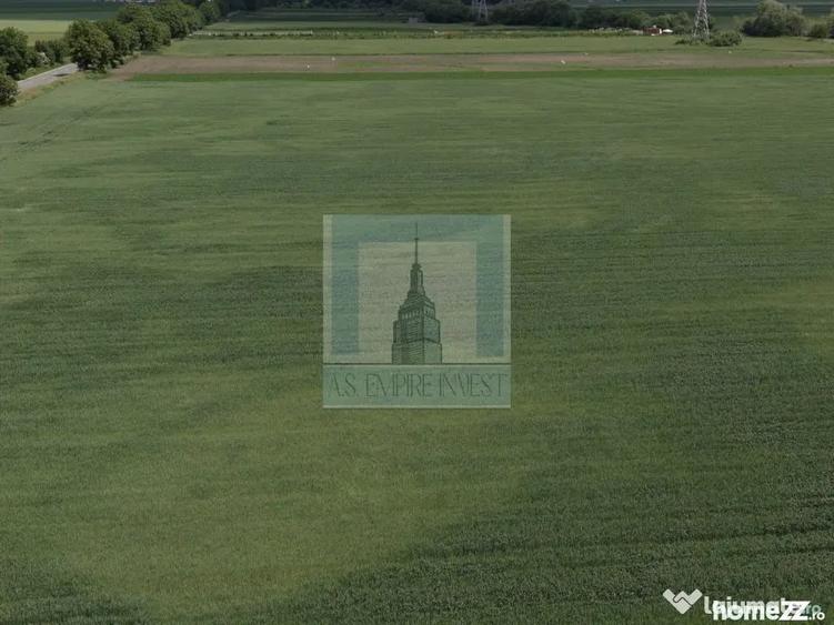 Teren de 50000 mp, în Hălchiu