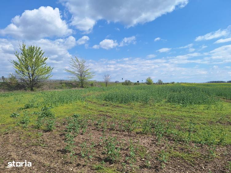 Teren de 32486 mp, în Bărcănești