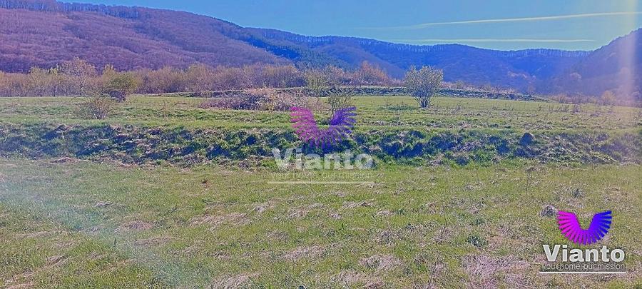 Teren agricol extravilan de 1500 mp, în Poplaca