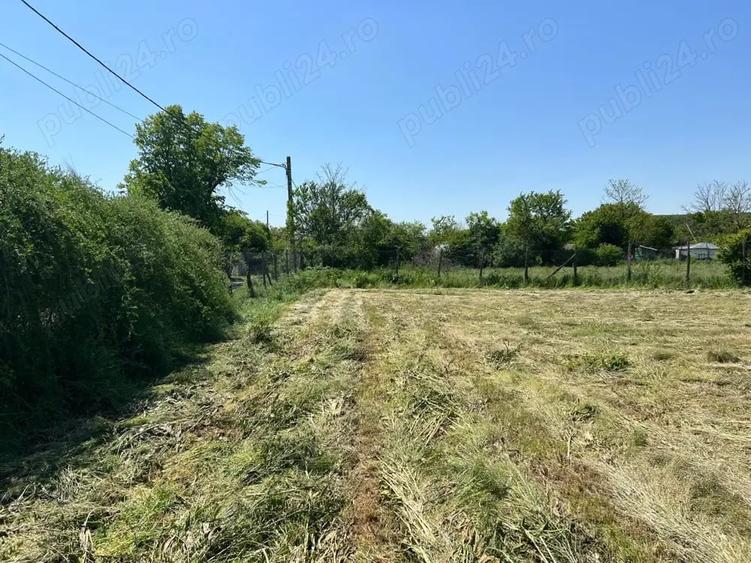 Teren de 1424 mp, în Bărcănești