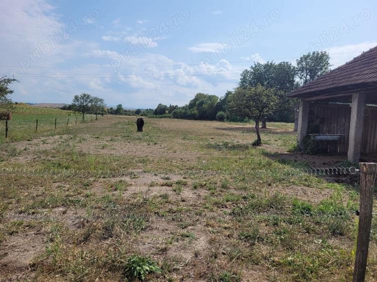 Casă în Topa de Criș