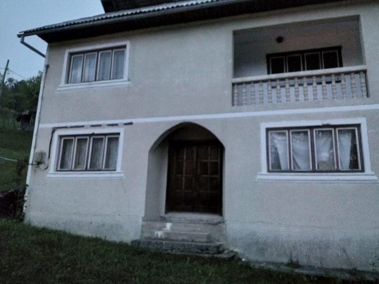 Casă individuală cu 4 camere cu Piscina în Valea Vișeului