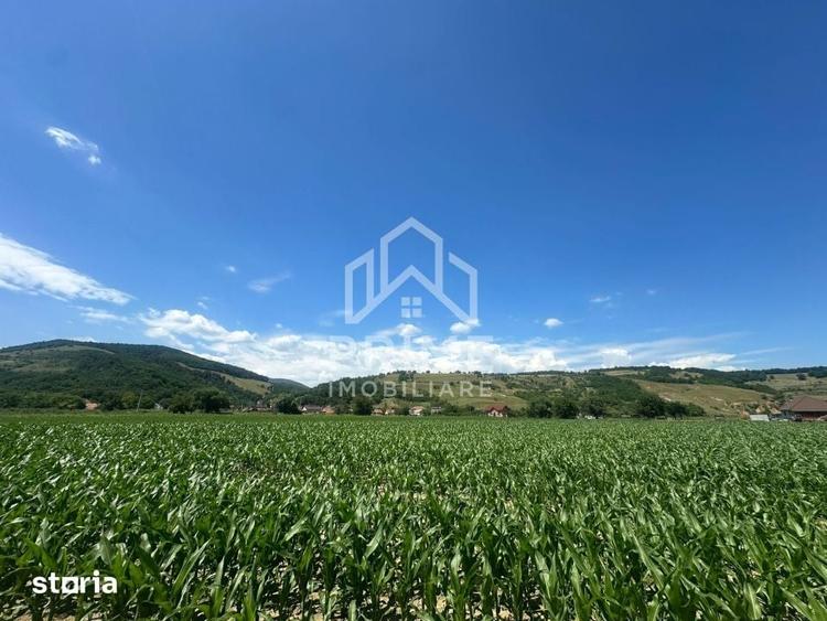 Teren de 6200 mp, în Vințu de Jos