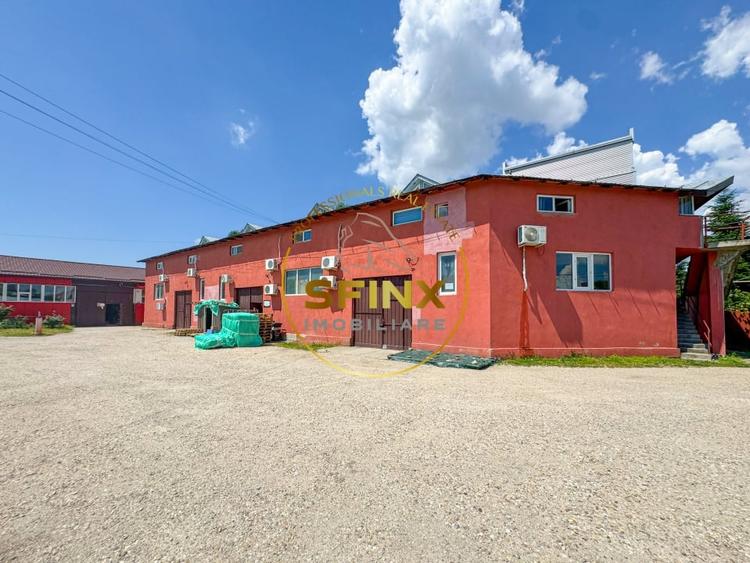 Spațiu industrial, de 123.4700012207 mp, în Theodor Pallady